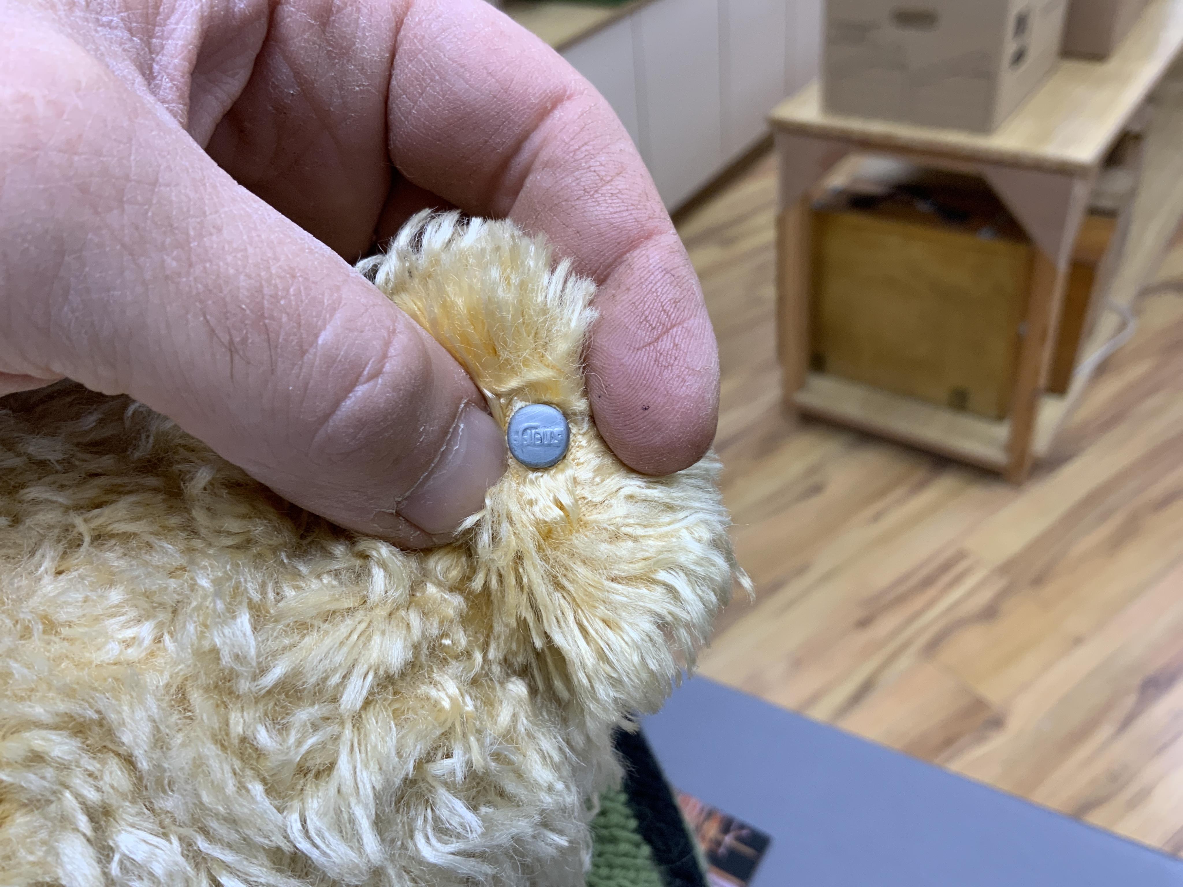 A Steiff artificial silk Teddy bear, (5650.2), jointed blonde body, stitched snout and glass eyes, button in ear, with related book and papers, bear 50cm
